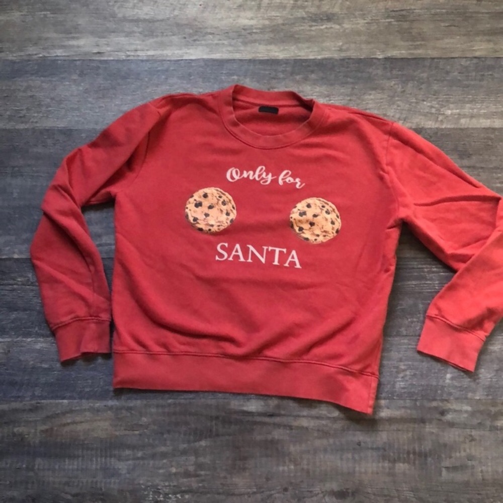 Kittenish Only for Santa holiday top